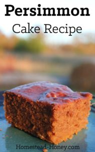 Delicious, moist, and lightly spiced, this persimmon cake recipe will make an amazing brunch addition, or a unique dessert. | Homestead Honey