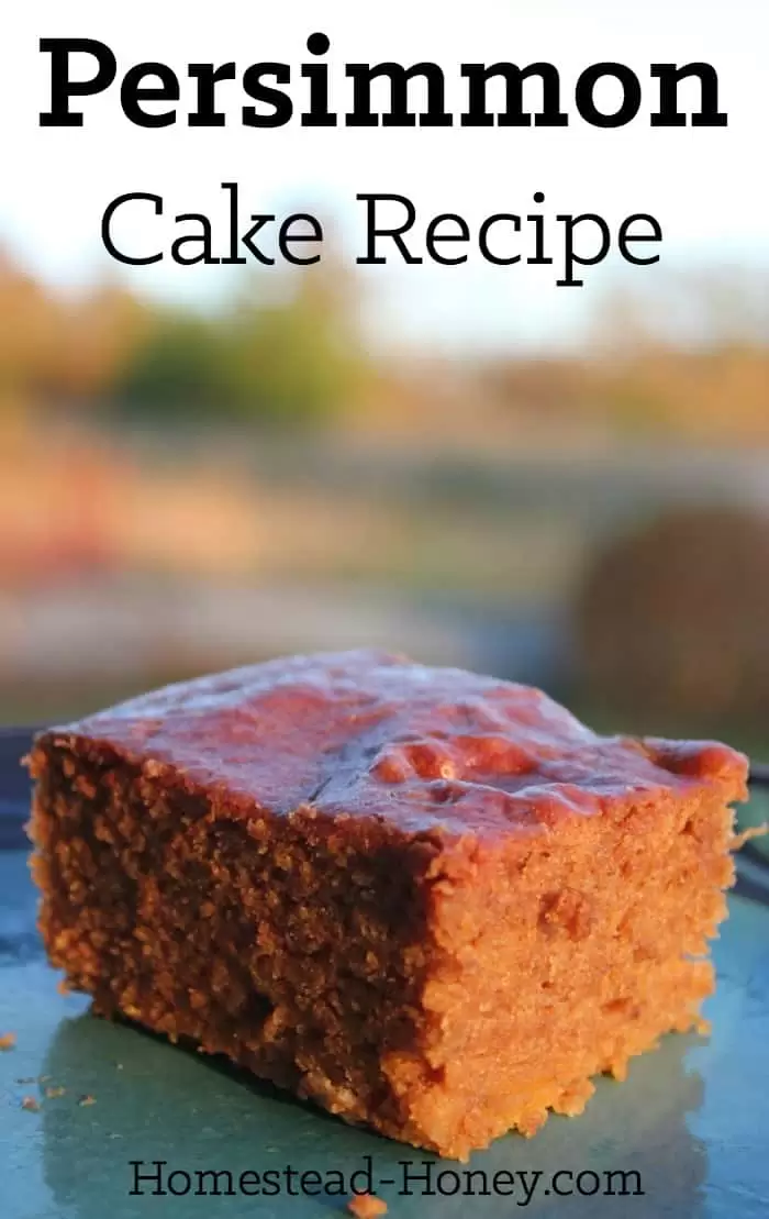 Delicious, moist, and lightly spiced, this easy persimmon cake recipe will make an amazing brunch addition, or a unique fall or holiday dessert. | Homestead Honey #fallbaking #cakerecipes