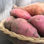 How to Grow, Harvest, Cure, and Store Sweet Potatoes