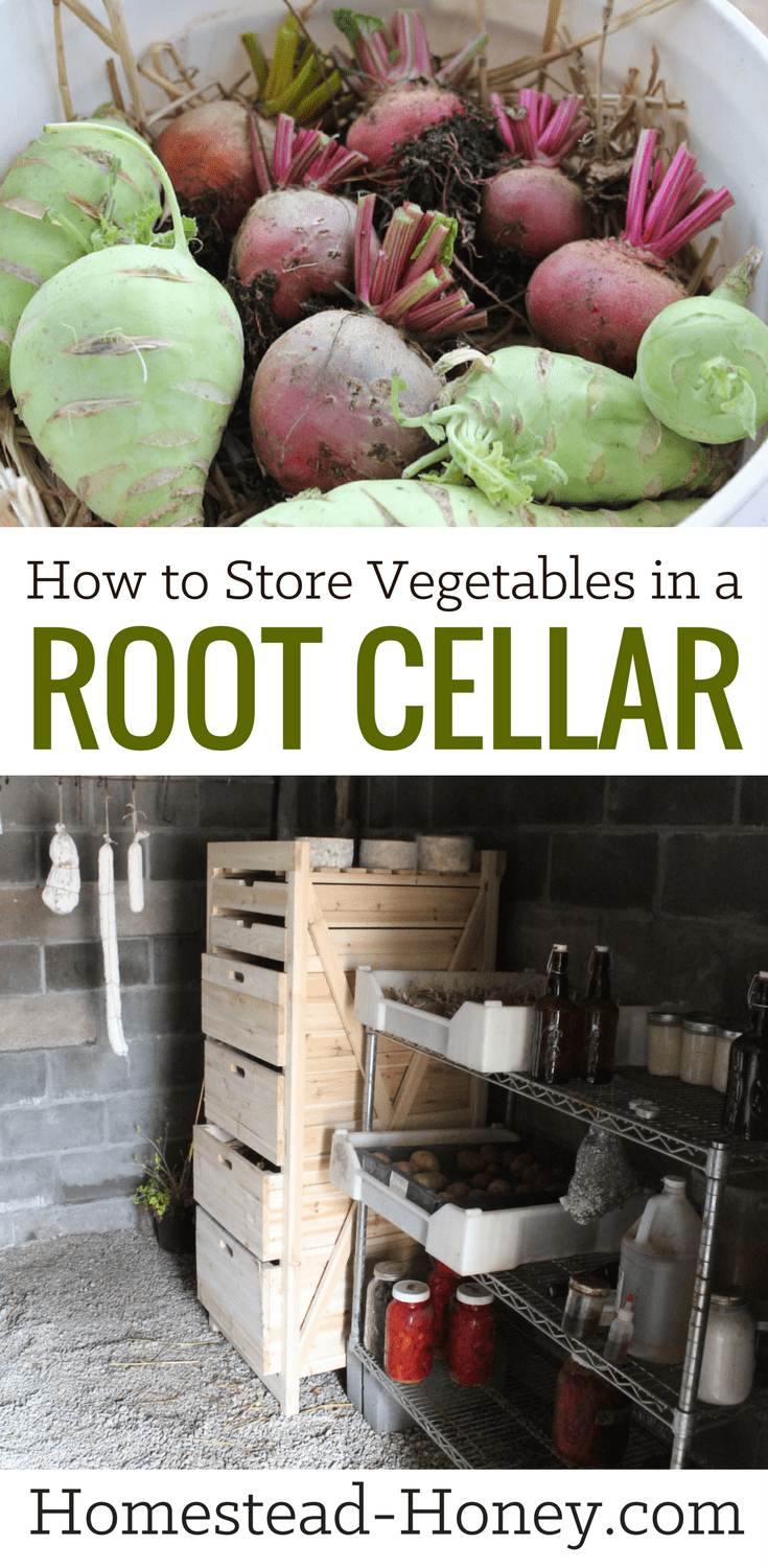 If you have a basement or underground root cellar, take advantage of it for vegetable storage and enjoy “food shopping” in your cellar all winter long! | Homestead Honey #rootcellar #vegetablestorage