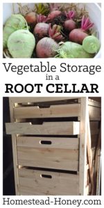 Looking for vegetable storage ideas for your homestead root cellar? Check out my favorite ways to store vegetables for winter eating. | Homestead Honey