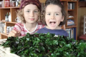 Even the kids will want to learn how to preserve beet greens! | Homestead Honey
