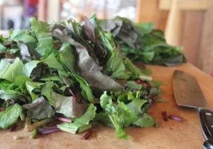 To preserve beet greens, first cut the greens into strips. | Homestead Honey