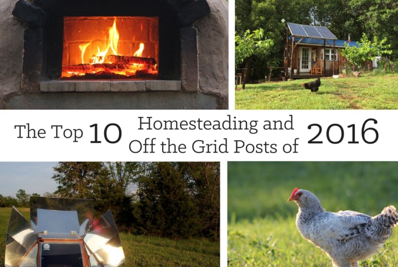 The top Homesteading and Off the Grid Posts of 2016 | Homestead Honey