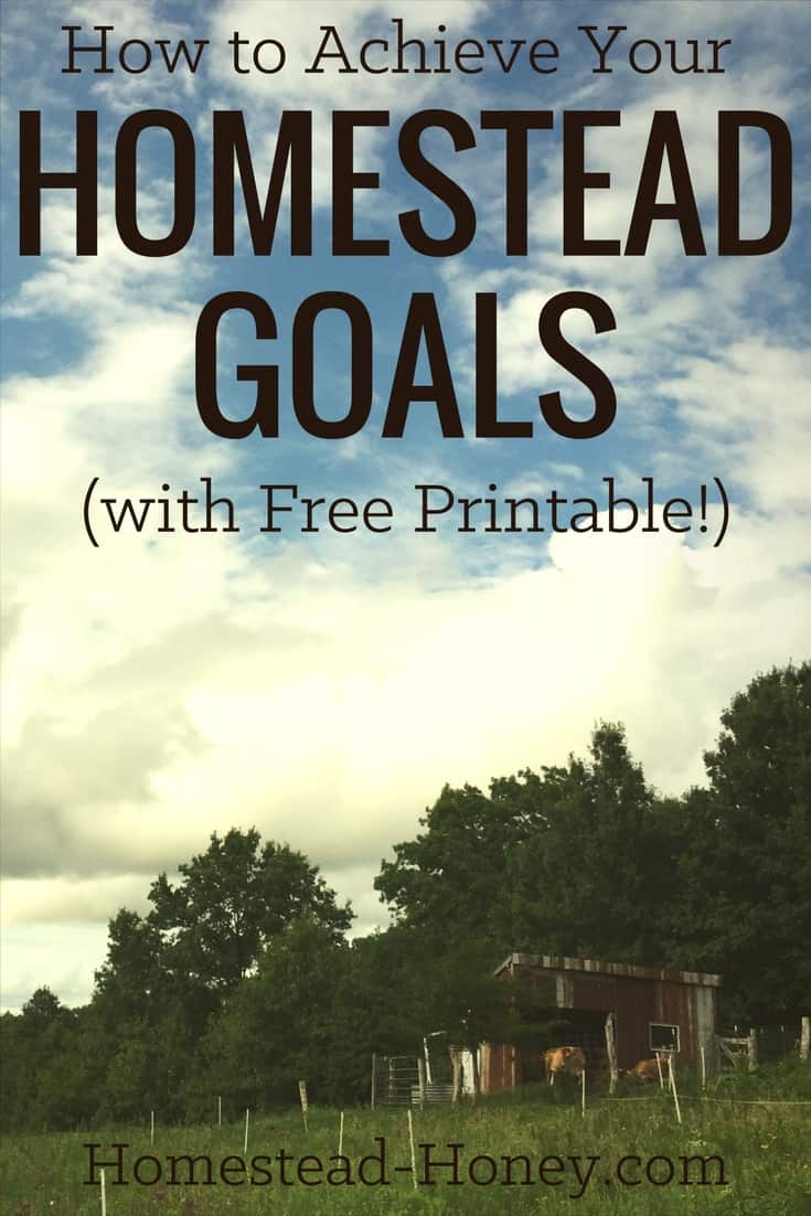 Download my free worksheet that will help you create an inspired action plan for your dreams, and learn how to achieve your homesteading goals. | Homestead Honey
