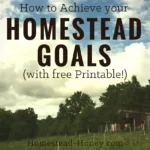 How to Achieve your Homesteading Goals