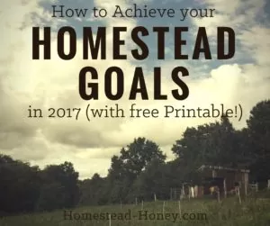 Achieve your biggest homestead goals this year by creating the support and accountability you need to get results! | Homestead Honey