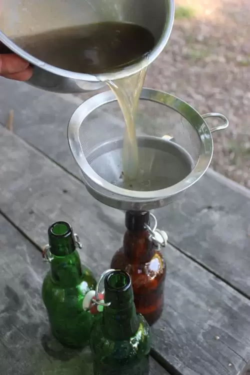 Pouring the nettle beer into bottles. | Homestead Honey