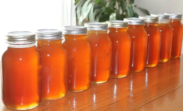 jars of homemade honey lined up on a table 