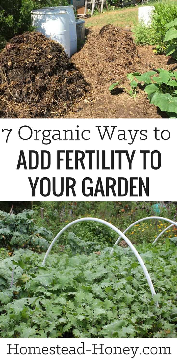 Grow more food, have healthier soil and fewer pests when you add fertility to your garden with one of these 7 organic methods: Cover crops, compost, urine, organic amendments, teas, mulch, and whey. | Homestead Honey