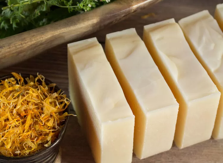 Calendula Tallow soap bar recipe | Homestead Honey
