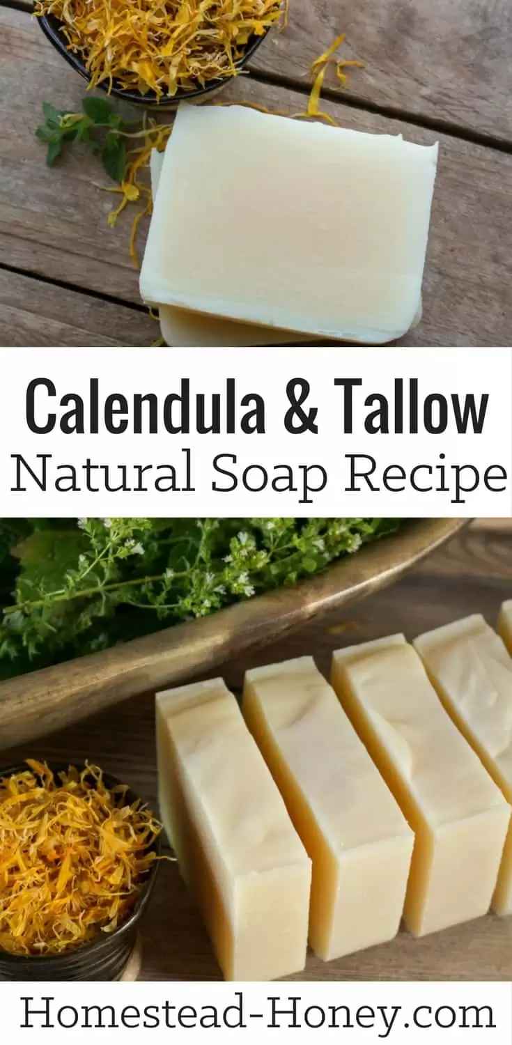 Get the recipe for this all-natural Calendula Tallow Soap. | Homestead Honey