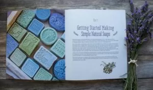 Simple and Natural Soapmaking by Jan Berry