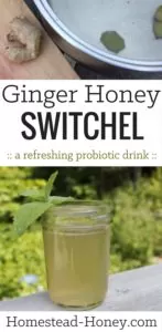 This Ginger Honey Switchel recipe makes a drink that is probiotic and refreshing, perfect for a hot summer day! Learn how to make this traditional drink that combines apple cider vinegar and natural sweeteners like honey or maple syrup for a tasty summer drink that is also good for your gut! | Homestead Honey