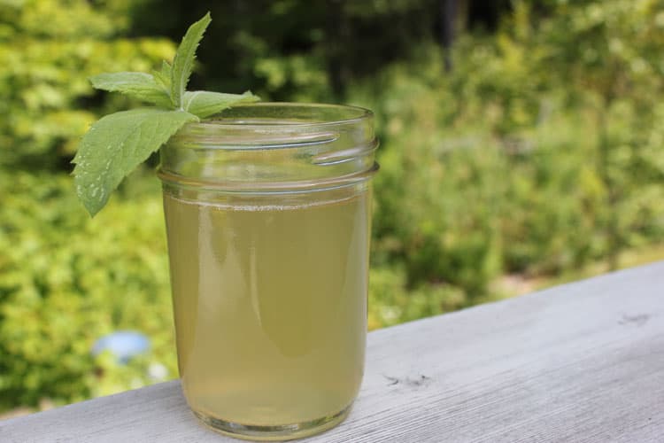 Made in less than 5 minutes of kitchen time, this Ginger Honey Switchel recipe makes a drink that is probiotic and refreshing, perfect for a hot summer day!