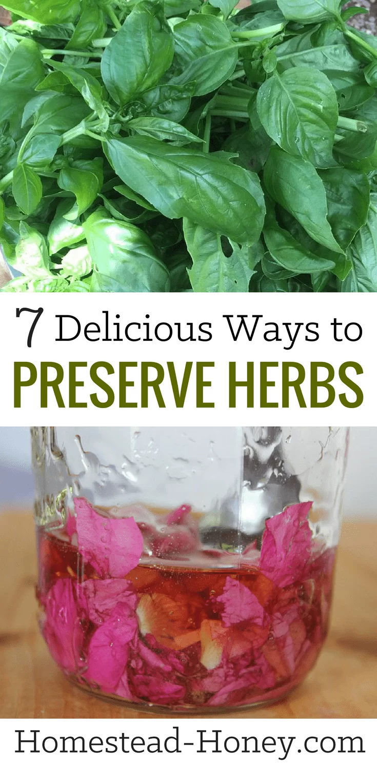Wondering how you can preserve and store all of the fresh herbs that are growing in your garden? Here are 7 delicious and unique ways to preserve fresh herbs so you can eat and enjoy them all winter long! | Homestead Honey