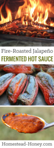 Tantalize your taste buds with this smoky fermented hot sauce recipe. Fire-roasted jalapenos are naturally fermented to create a spicy, smoky, and tangy hot sauce that will blow your mind! Sure to become a table staple...and be sure to make extra for gifts! | Homestead Honey