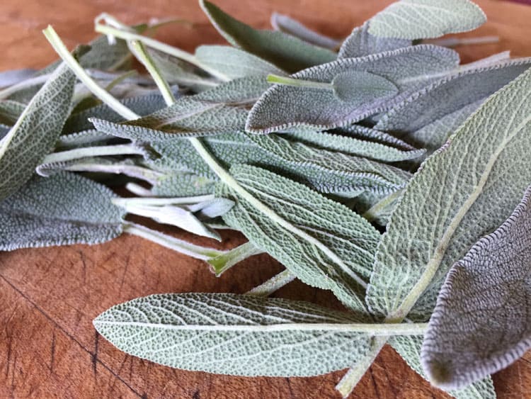 Sage can be dried or frozen in an 