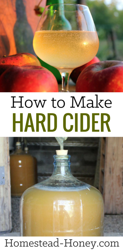 How to Make Hard Cider in 5 Easy Steps Homestead Honey