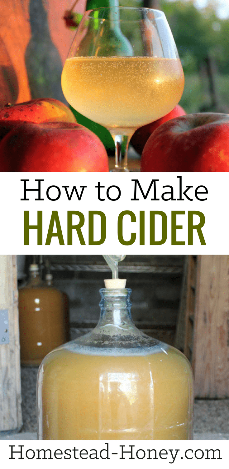Do you love the taste of craft hard cider? We'll show you how to make hard cider at home in five easy steps with no additional ingredients required. We'll capture the wild yeast on the apples to ferment the apples into hard cider. So delicious!