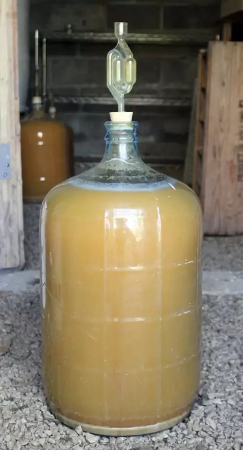 Place your carboy full of hard cider in a cool area to ferment.