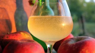 How to make hard cider at home in 5 easy steps!