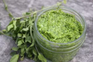 Spring pesto made with chickweed and green garlic