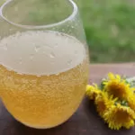 Dandelion Soda Recipe :: Naturally Fermented with a Ginger Bug!