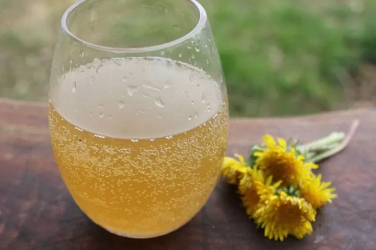 Dandelion Soda made with a ginger bug
