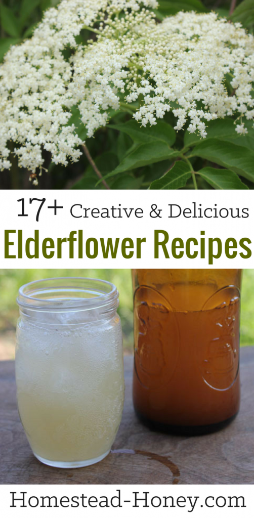 20+ Elderflower Recipes for a Summertime Treat Homestead Honey