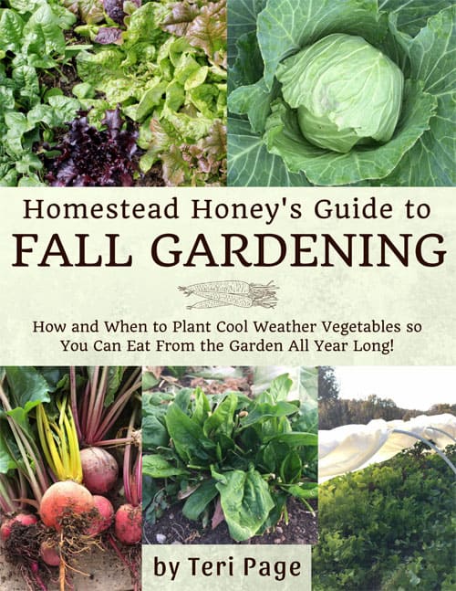 A gardening book, Homestead Honey's Guide to Fall Gardening