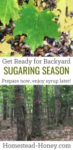 Get Ready for Backyard Sugaring Season