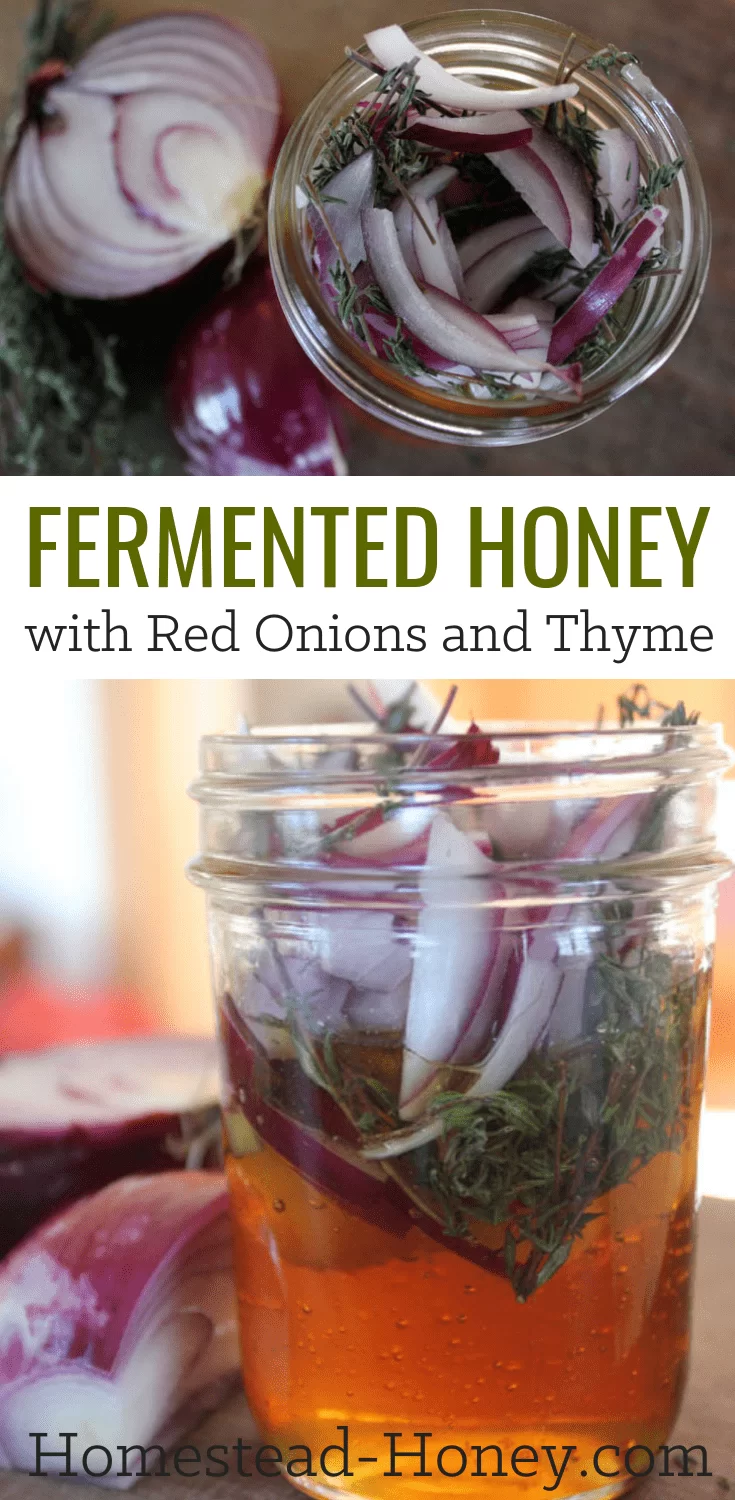 Fermented Honey with Red Onions and Thyme