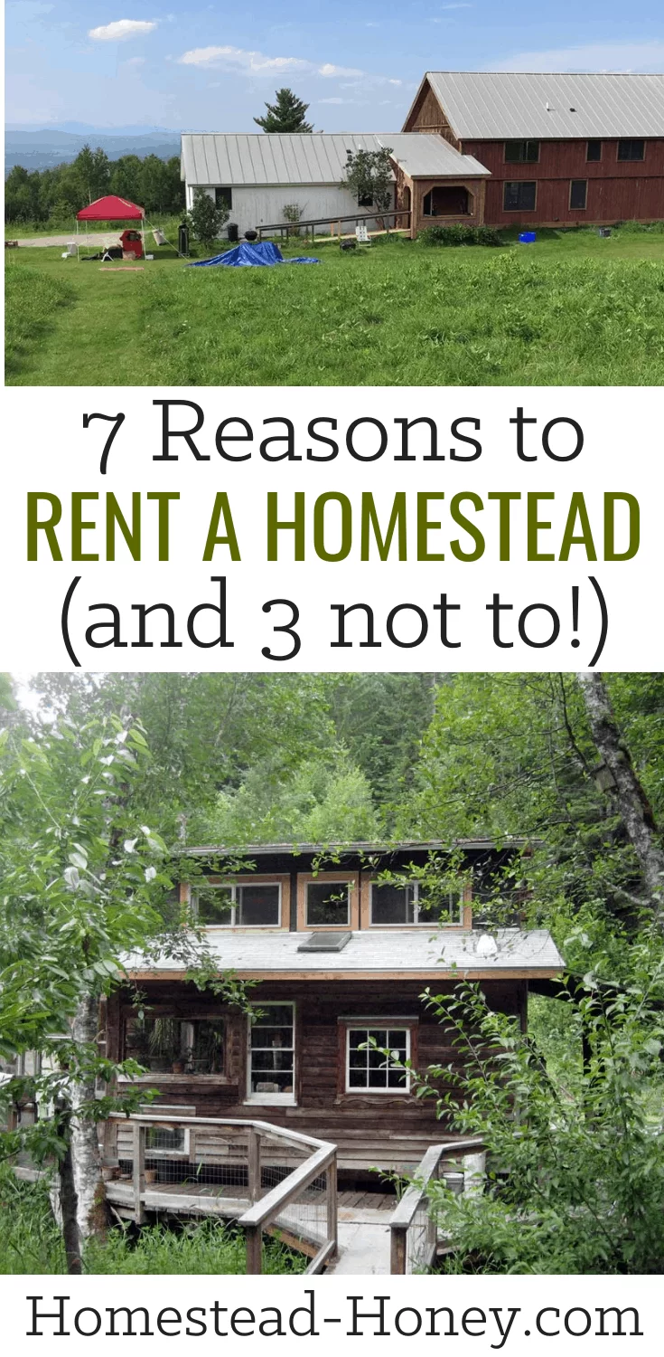7 Reasons to Rent a Homestead (and 3 Not To!)