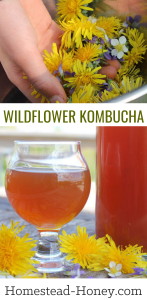 Capture the essence of summer in this fizzy fermented wildflower kombucha