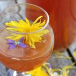 Wildflower Kombucha :: The taste of summer, in a fizzy ferment!
