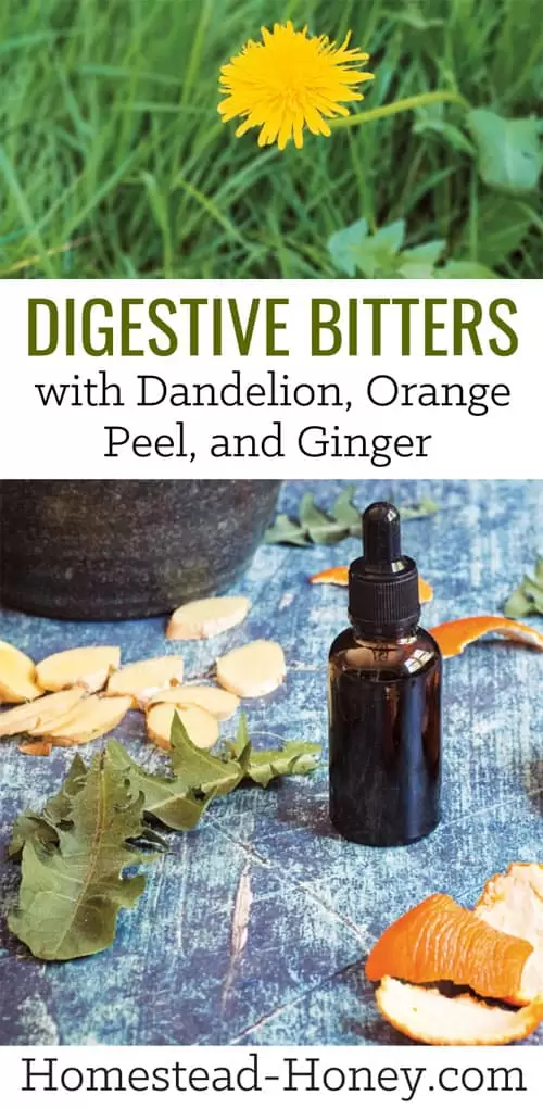 Take these digestive bitters with dandelion, orange peel, and ginger before a meal to kickstart your digestiion