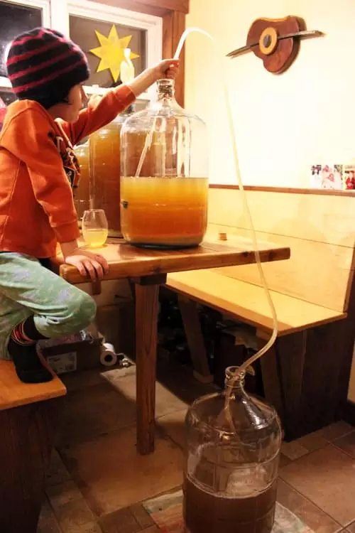 Racking hard apple cider into a clean carboy
