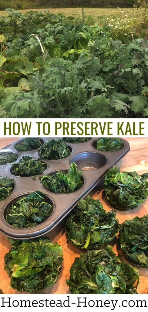 How to Preserve Kale