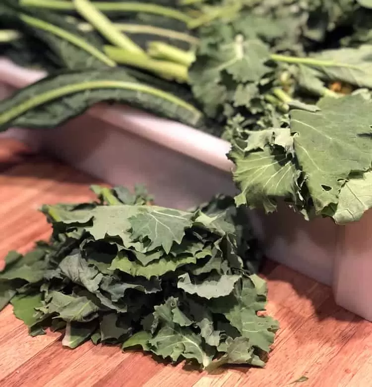 Two easy ways to preserve kale are dehydrating and fermenting 