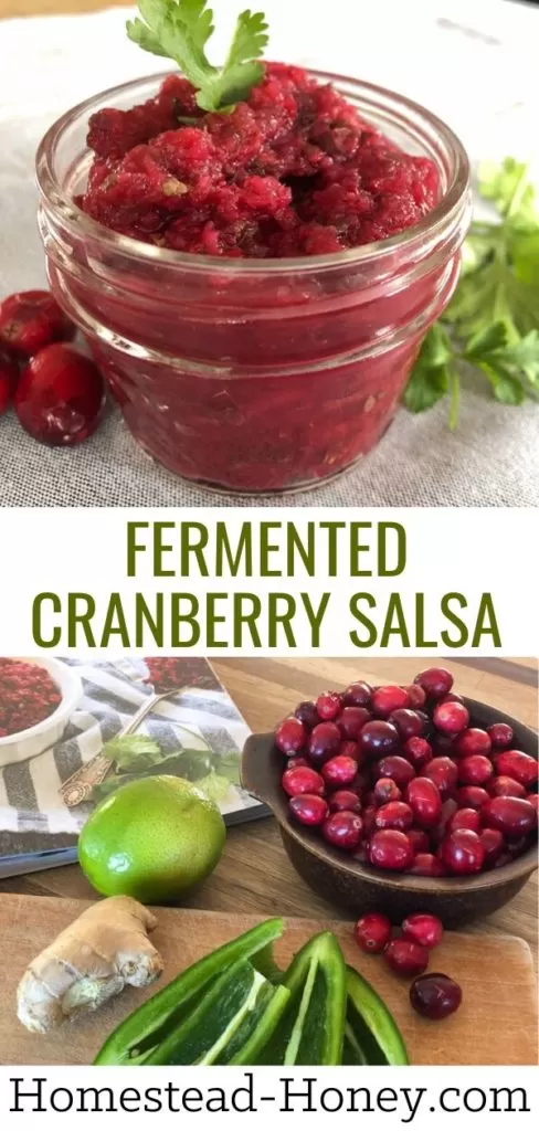 fermented cranberry salsa recipe pin