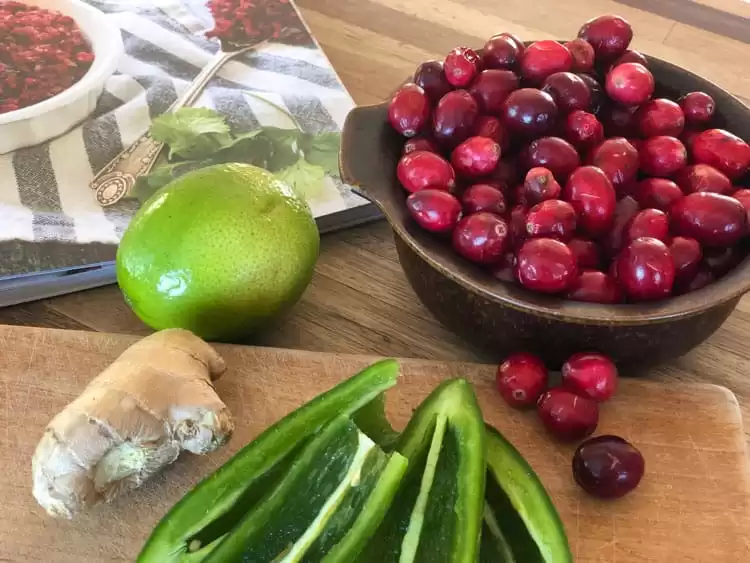 lime, jalapenos, ginger, and cranberries form the base of this fermented cranberry salsa