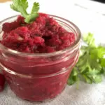 Fermented Cranberry Salsa Recipe