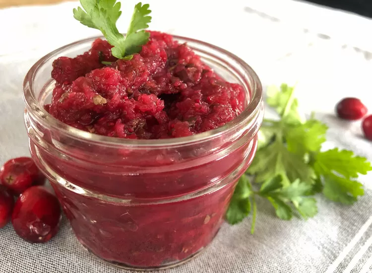 fermented cranberry salsa