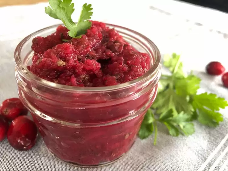 fermented cranberry salsa 