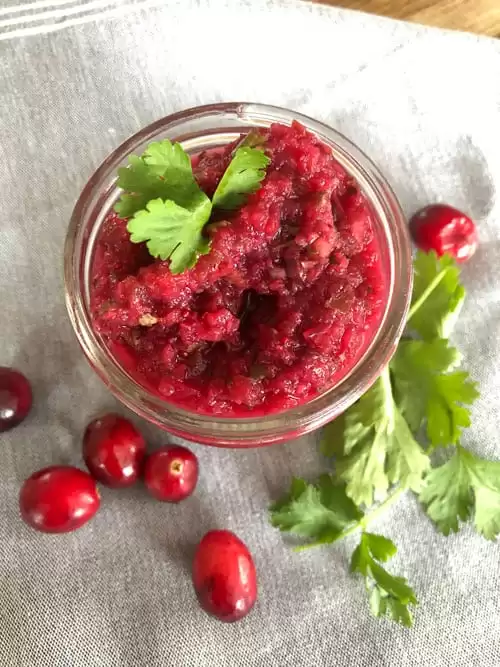 fermented cranberry salsa recipe
