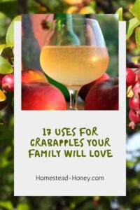 Pic of crabapple hard cider over a pic of crabapples growing on a tree, with a white overlay with green words saying 17 uses for crabapples your family will love.