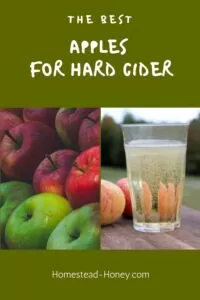 Pic on left is rows of different variety of apples, pic on right is a glass of hard cider with apples in background, top is green with white text overlay reading the best apples for hard cider.